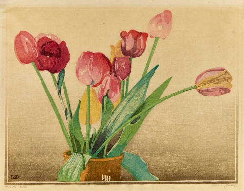 Tulips