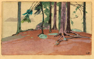 Lake of the Woods