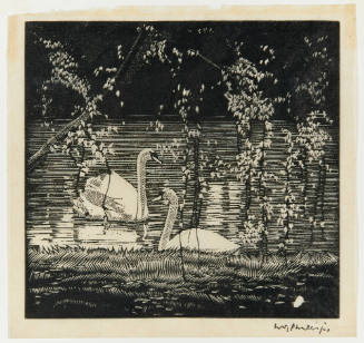 Swans