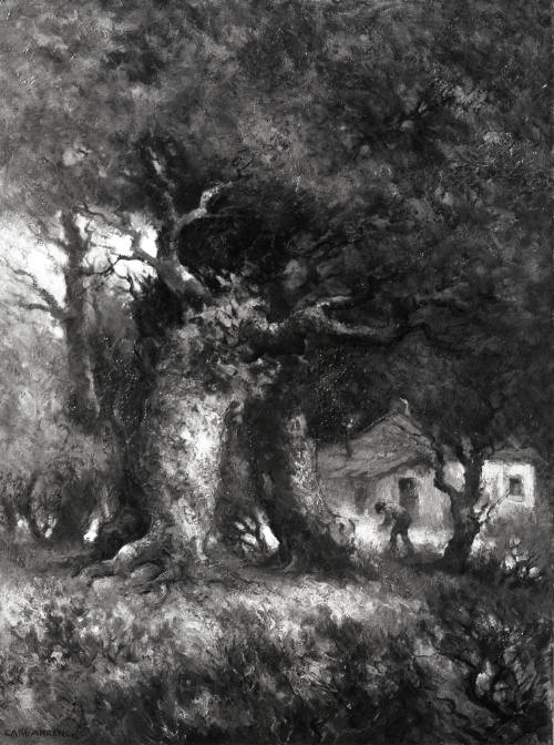 Edge of the Woods