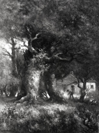 Edge of the Woods