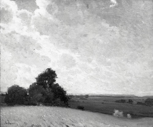 Summer Clouds