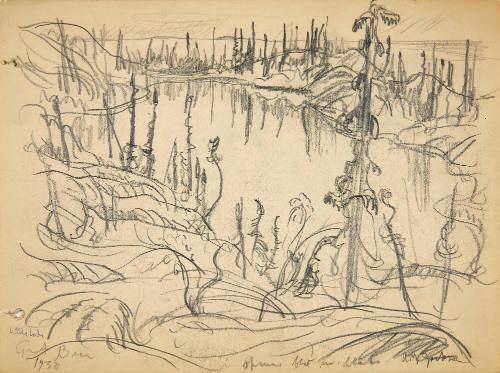 Lake and Spruce