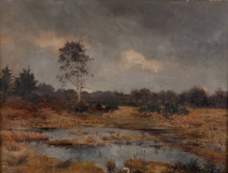 Marsh Landscape