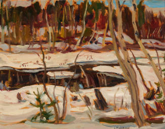 Creek at Matawaska, Ontario