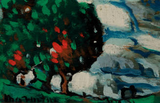 Trees and Sky