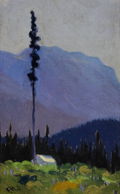 Lone Camp