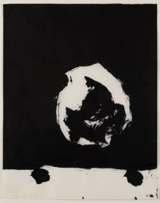 (#7) Untitled