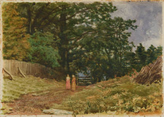 Hickories and Mullins