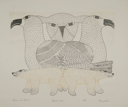 Gulls and Bears